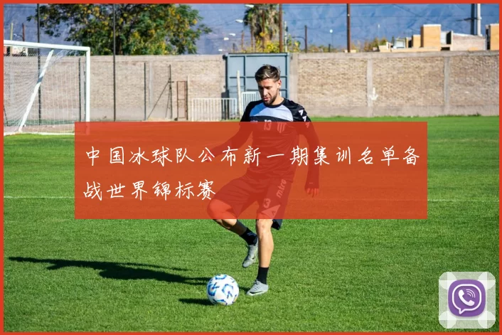 中国冰球队公布新一期集训名单备战世界锦标赛