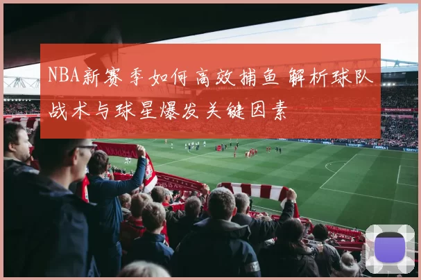 NBA新赛季如何高效捕鱼 解析球队战术与球星爆发关键因素