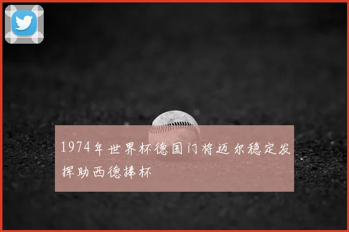 1974年世界杯德国门将迈尔稳定发挥助西德捧杯